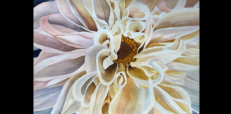 Dahlia Watercolor by Debbie Hamel