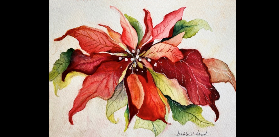 Poinsettia Watercolor by Debbie Hamel