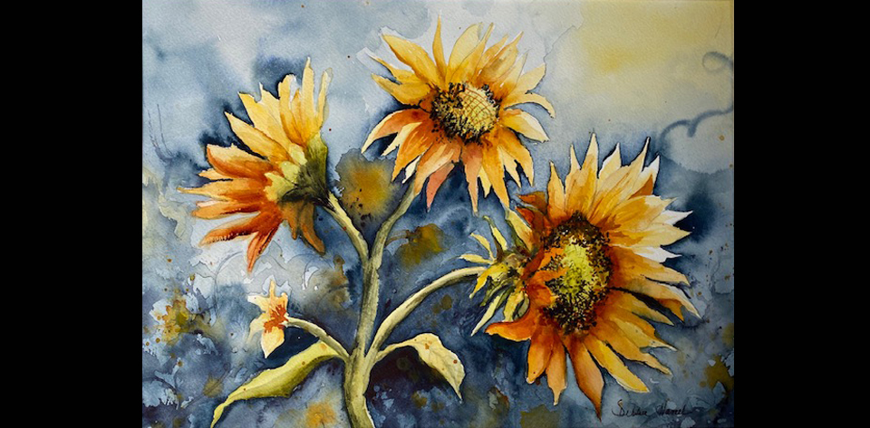 Sunflowers Watercolor by Debbie Hamel