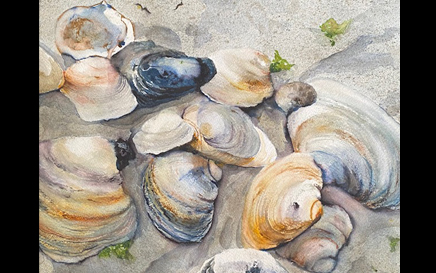 Shells on the Beach Watercolor Painting